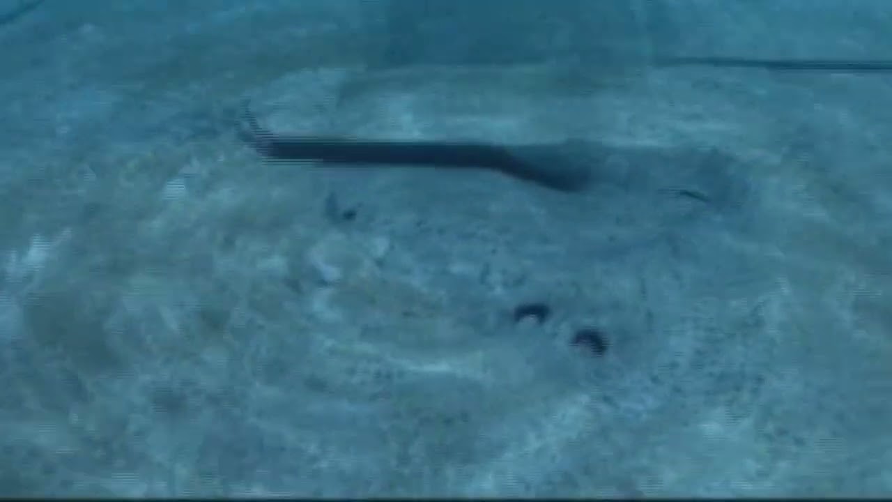 Temple of MU Simulation (Animated)