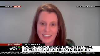 Groundbreaking Trial  | World Mosquito Programme finds a solution for global virus Dengue Fever