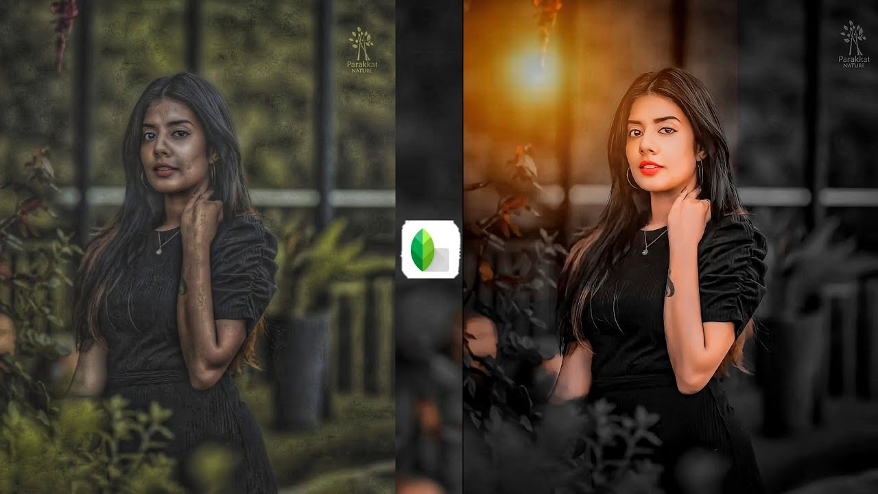 Snapseed New Dark Black Tone Photo Editing | Snapseed  Background Colour Change | snapseed editing