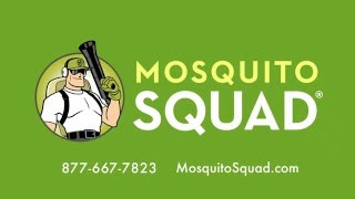 Tick Control Services - Mosquito Squad