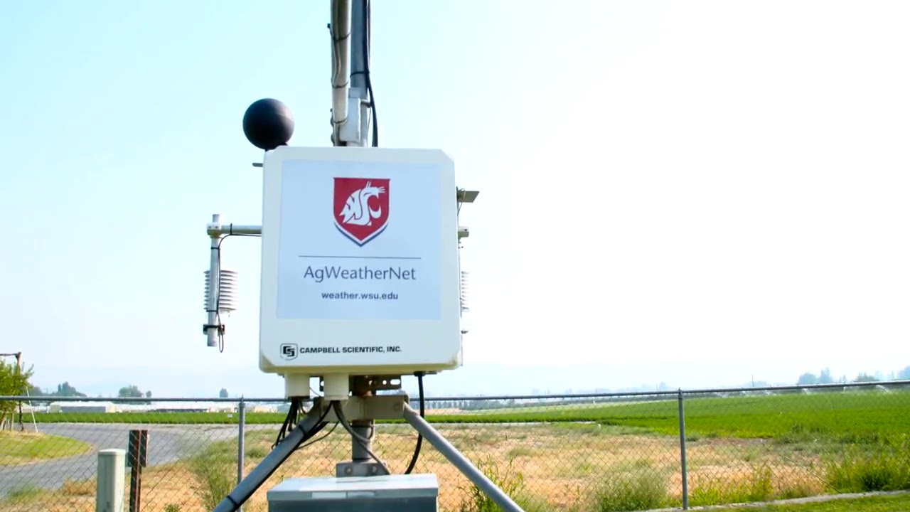 The Weather and Farming Prosser, WA Washington Grown YouTube