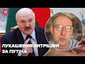 Лукашенко може вести перемовини зі Заходом, – Жданов