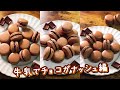 失敗しない!チョコマカロンの作り方(チョコガナッシュ編) #Shorts