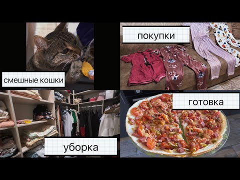 Видео: Влог: уборка, расхламление, домашние дела