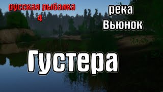 Русская рыбалка 4/рр4/rf4 - река Вьюнок. Густера.