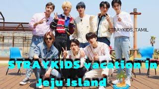 Straykids vacation in Jeju Island 🏝️ episode tamil dubbed