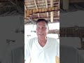 WOW aksyon balita radyo dyaryo support PDP Laban medterm election 2025