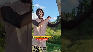 Kidagaa Kimemwozea Riwaya Ya Ken Walibora Voice With Sesmoh