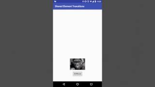 Celebrity Shared Element Transition - Fragment to Fragment Example Net Worth