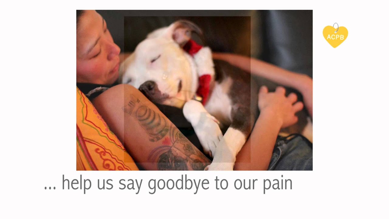 Thank You from ACPB LA Marathon Team