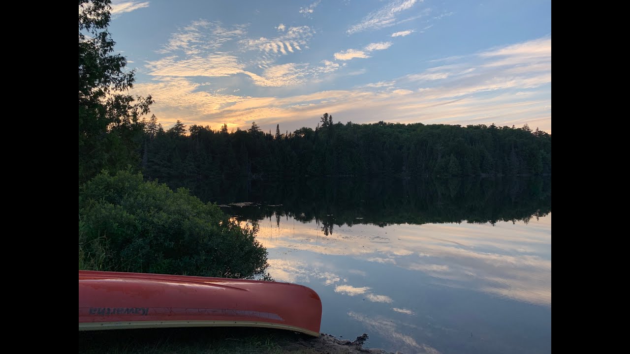 Canoeing around Tea Lake, Algonquin Park. Merganser Ducks, Smallmouth ...
