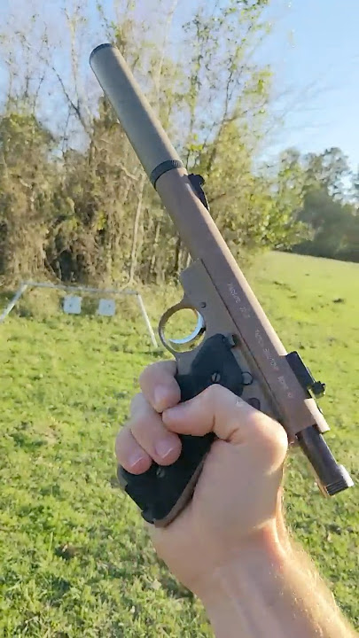 Silenced Ruger 22