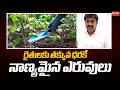 Chaganti Murali Krishna : రైతులకు తక్కువ ధరకే నాణ్యమైన ఎరువులు | Mahaa News