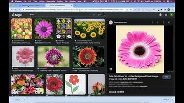 Full Blog Website Using Webflow || Alamgir H Kobir