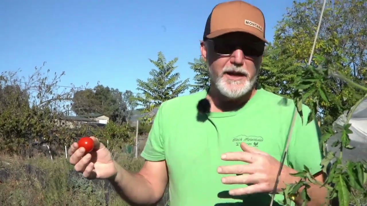 Meet Black Mountain Farm in Ramona!