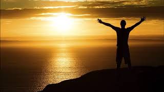 Finding My Peacenicoline Van Goor