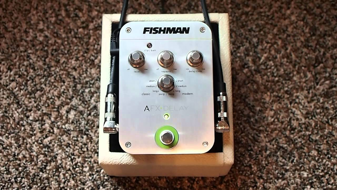 Fishman AFX Delay