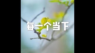 201511 每一个当下21231