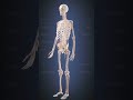 #anatomy #motivation #3dvisualization #medical #neetaspirents #biologybook #tnpscgroup2 #nursing