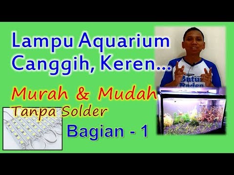 Memodifikasi lampu aquascape. 