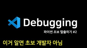 파이썬 초보 탈출하기 #2 | 디버깅 Debugging