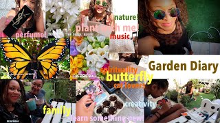 Garden Diary 🌱 Mama butterfly