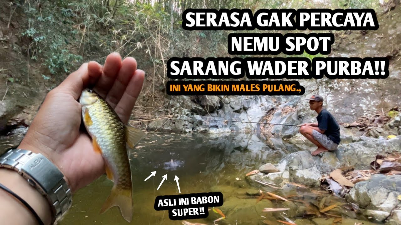 GAK NYANGKA NEMU SPOT TERSEMBUNYI SARANG BABON PURBA!! Mancing wader di spot pegunungan