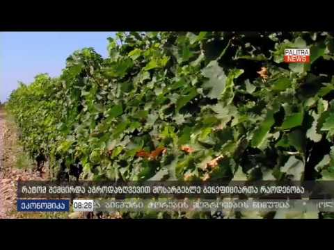 ცვლილებები აგროდაზღვევის სისტემაში