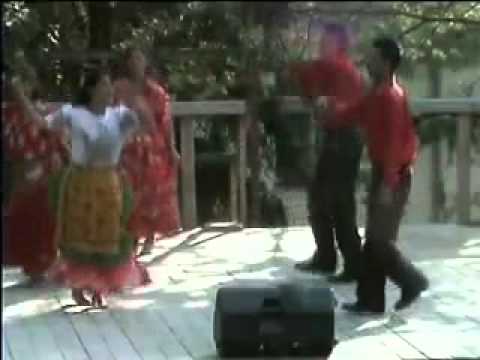 Венгерские цыгане песни. Цыганский словаки. Венгрия цыгане бауровы. Цыгане в венгрии. Джелакаева роза яковлевна.