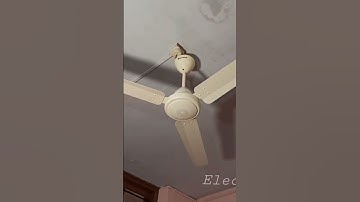 atomberg ceiling fans and Wall fan #experiment #ceilingfan #viralvideo #shorts #shortvideo