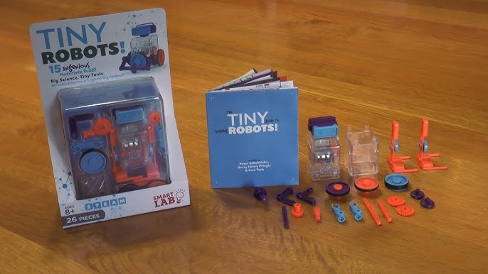 SmartLab Toys Tiny Art! - 10 Enormously Artistic Activities. Big Science.  Tiny Tools, Multi