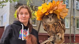 Owl Yoll welcomes guests from the BobCat TV channel