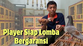 Download Lagu Mas Syusin : Sekarang Menjual Merpati Lebih Dominan Player.. Banyak di Cari MP3 Download Lagu Mas Syusin : Sekarang Menjual Merpati Lebih Dominan Player.. Banyak di Cari MP3