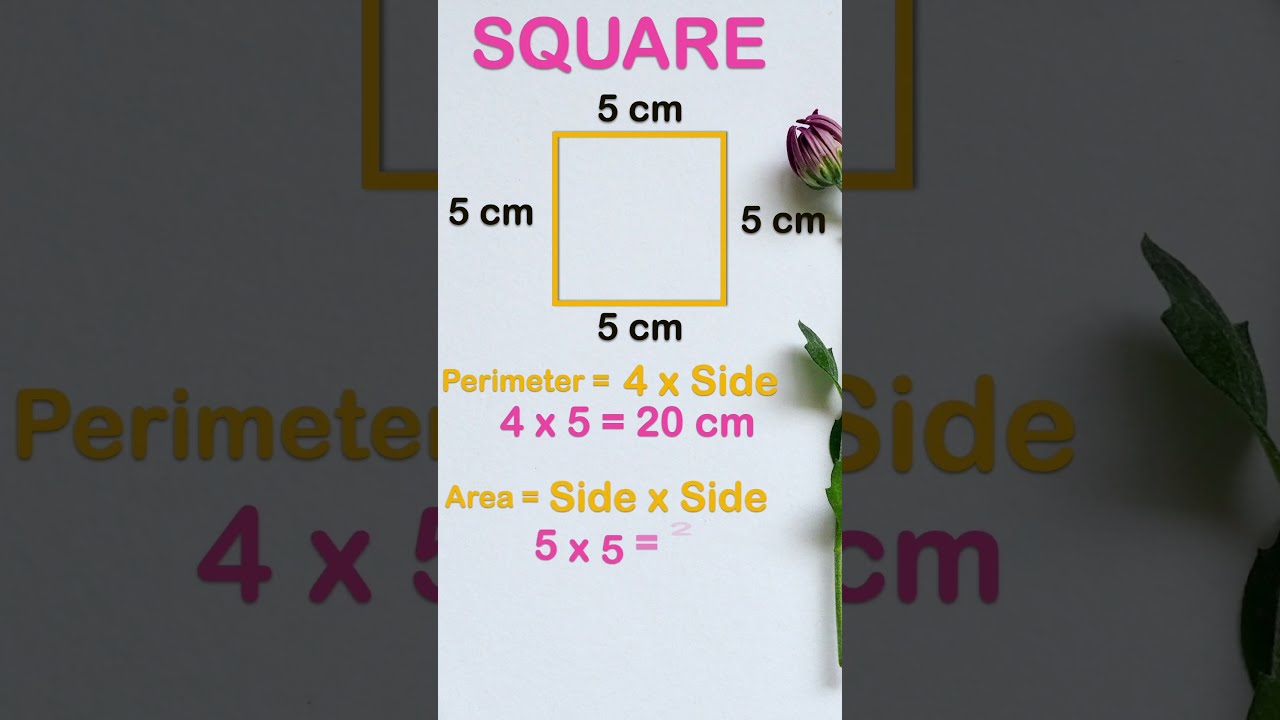 Find Perimeter Area Diagonal Of Square Shorts Shortvideo Viral Trending Mathsshorts
