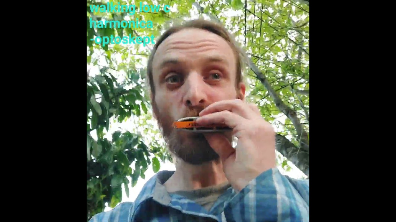 walking low C harmonica