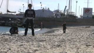 Cs Playing With Dog In Red String