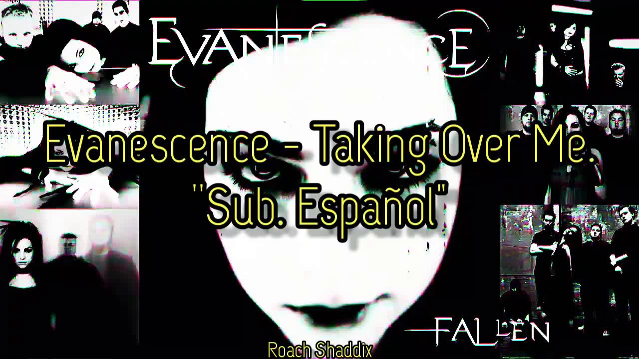 Evanescence Taking Over Me übersetzung