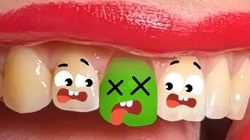 سورة البقرة - تلاوة مرتلة بصوت الشيخ ياسر الدوسري