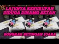 Side damper super 2  tamiya paling heboh di 2021 