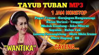 Tayub Tuban Mp3 | Wantika #tayubtuban #tayubnganjuk #sedekahbumi #tayubgrobogan #tayub #shortvideo