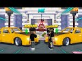 I Found a 'MILLIONAIRE ONLY' Minecraft Server!