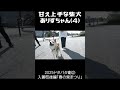 甘え上手な柴犬ありすちゃん #柴犬