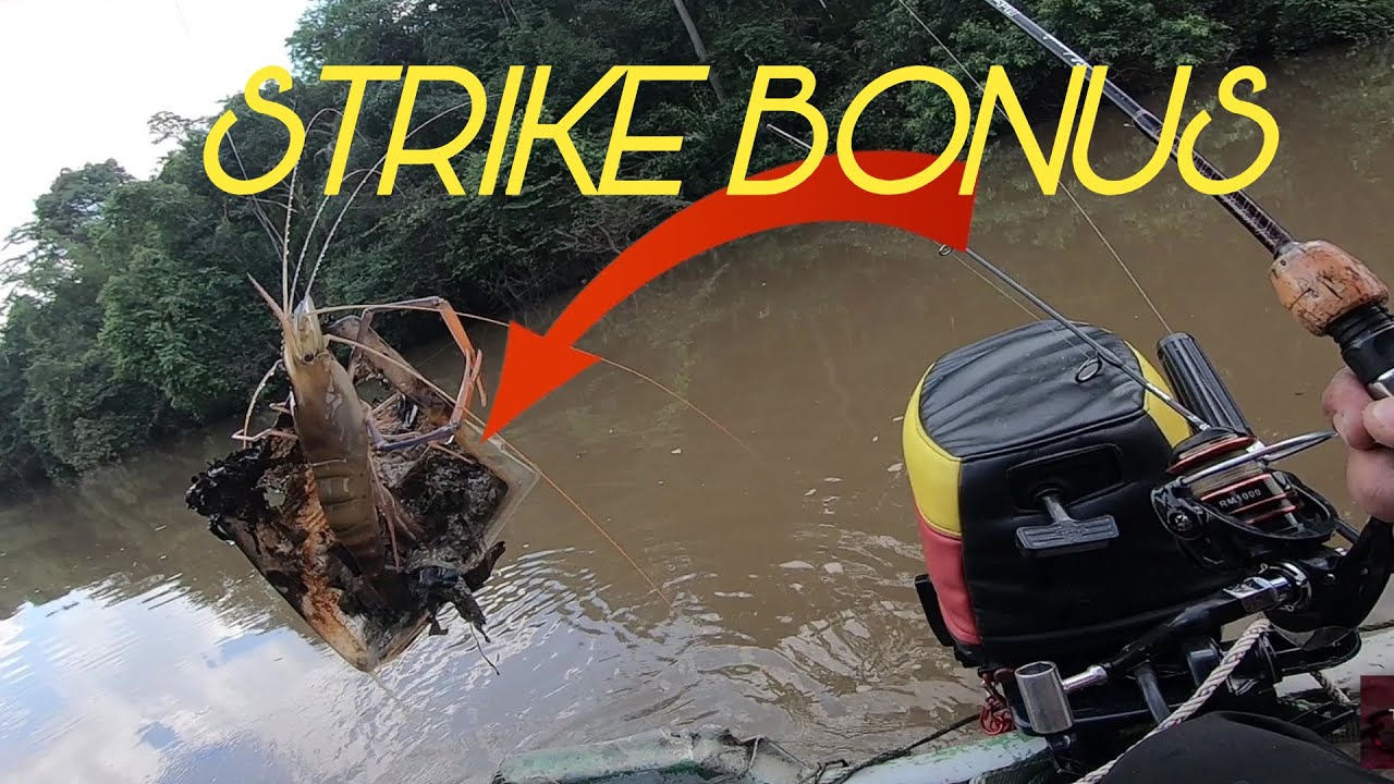 PERTEMPURAN SENGIT‼️ SALING BERBALAS 