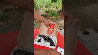 🇮🇳 Dan wesson 4" CO2 working 🇮🇳