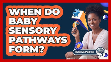 When Do Baby Sensory Pathways Form?