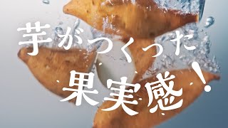 KIRISHIMA No.8「味わい篇」 | 霧島酒造