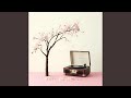 Evening Sakura Chill