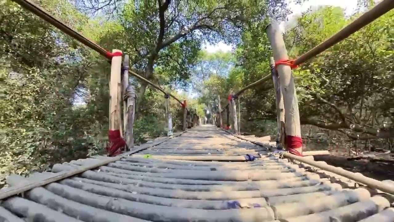 Nature walk | Thane Creek flemingo Sanctuary 