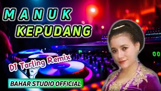 MANUK KEPUDANG - IWI S. // DJ TARLING REMIX