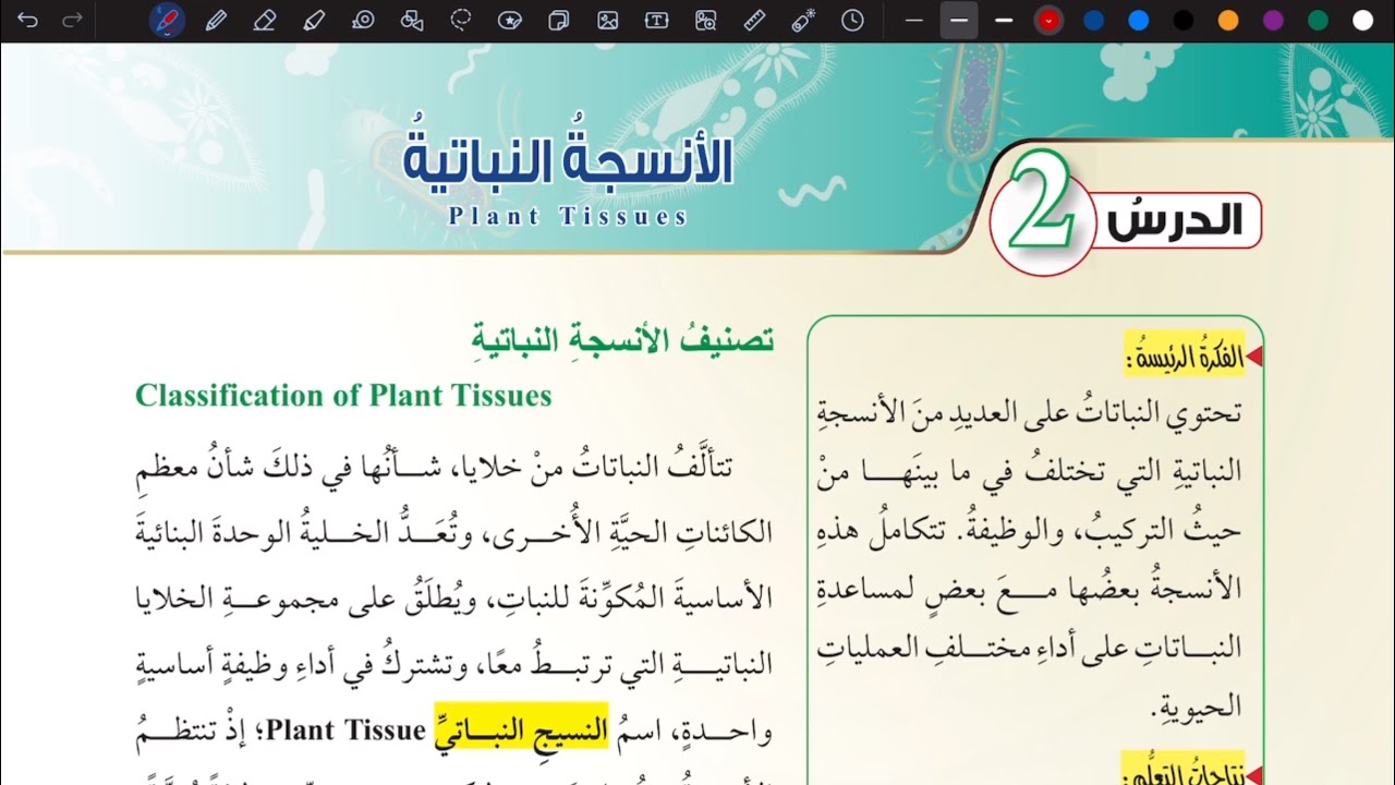 شرح درس الأنسجة النباتية ج 1 | أحياء تاسع المنهاج الأردني الجديد